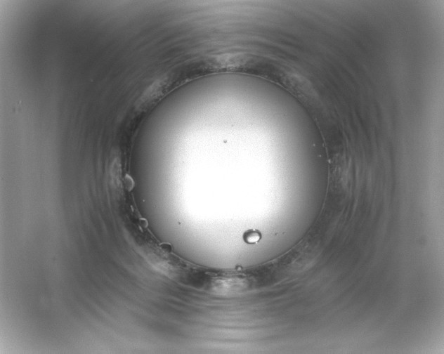 X0000066020220200603171540