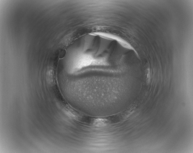 X0000066020222200603171540