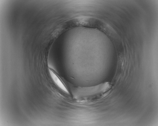 X0000066020223200603171540