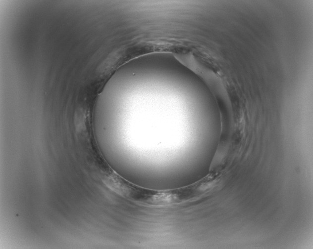 X0000066020225200603171540