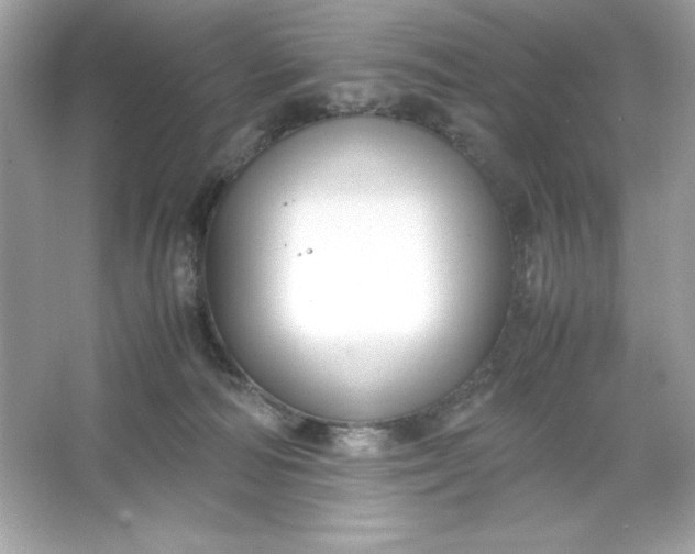 X0000066020226200603171540