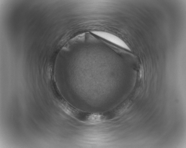 X0000066020227200603171540