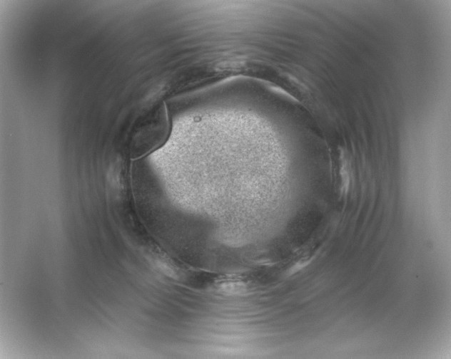 X0000066020228200603171540