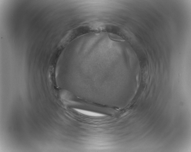 X0000066020229200603171540