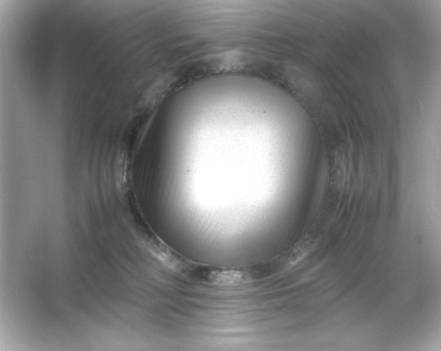 X0000066020230200603171540