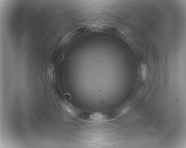 X0000066020231200603171540