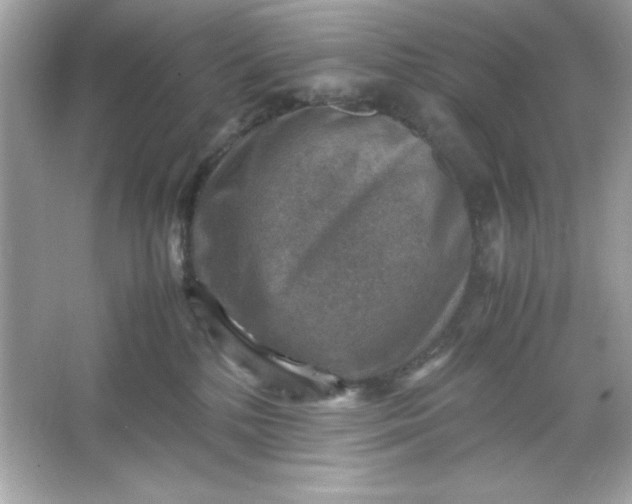 X0000066020232200603171540