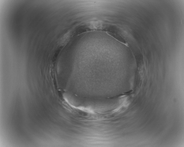 X0000066020233200603171540