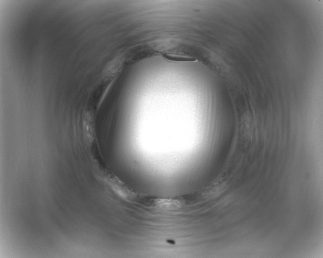 X0000066020234200603171540