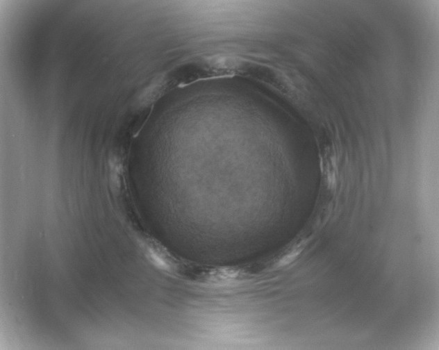 X0000066020235200603171540