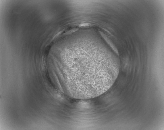 X0000066020236200603171540