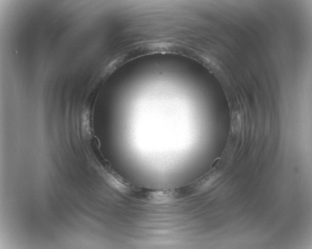 X0000066020238200603171540