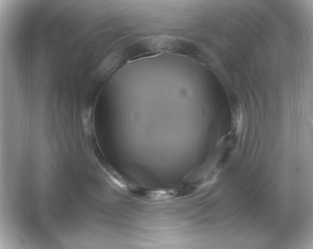 X0000066020239200603171540