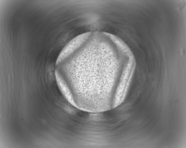 X0000066020240200603171540