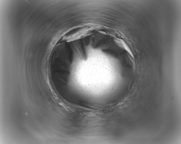 X0000066020241200603171539