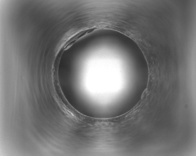 X0000066020242200603171539