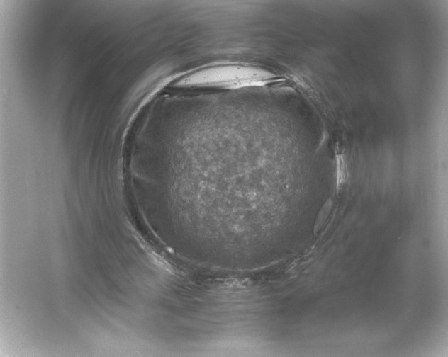 X0000066020243200603171539