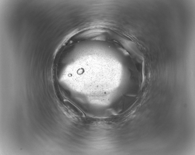 X0000066020244200603171539