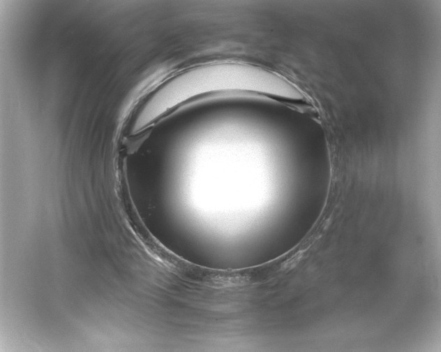 X0000066020245200603171539