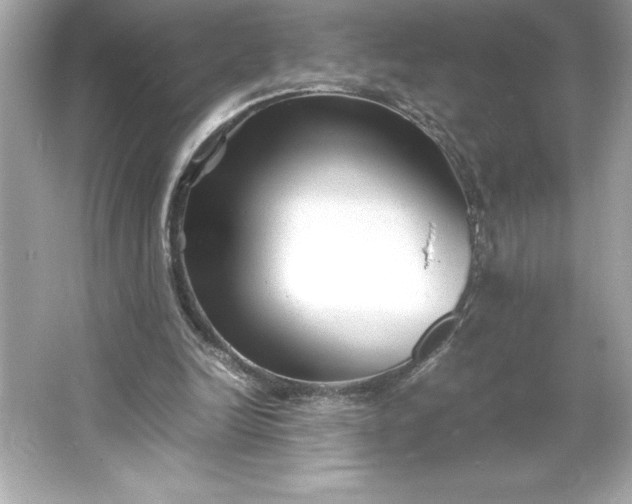 X0000066020246200603171539