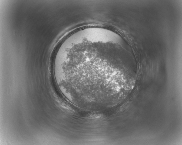 X0000066020247200603171539