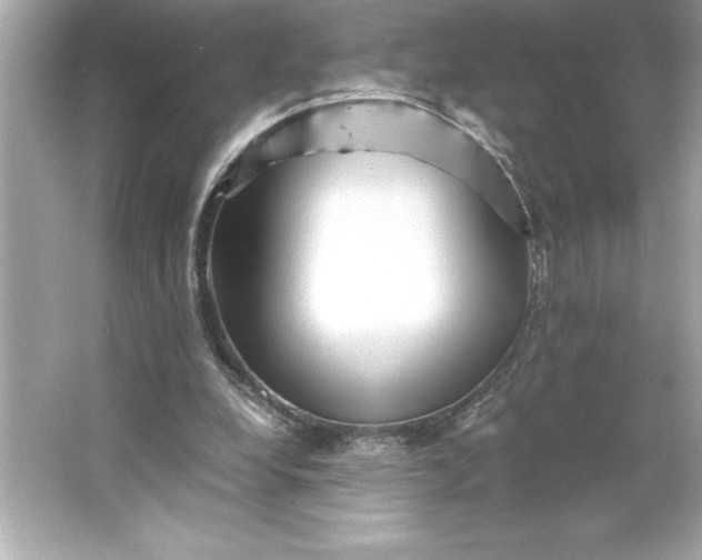 X0000066020248200603171539