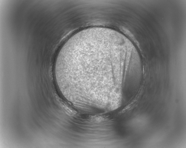 X0000066020249200603171539