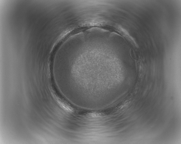 X0000066020250200603171539