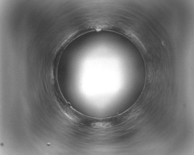 X0000066020251200603171539