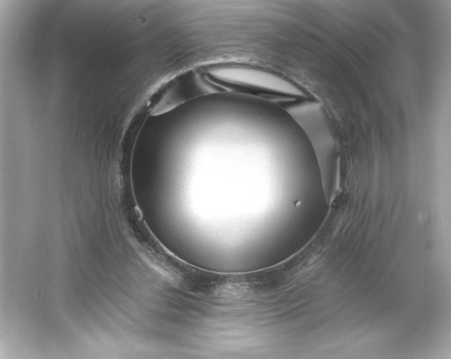 X0000066020252200603171539