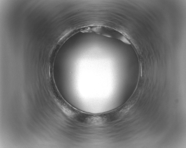 X0000066020253200603171539