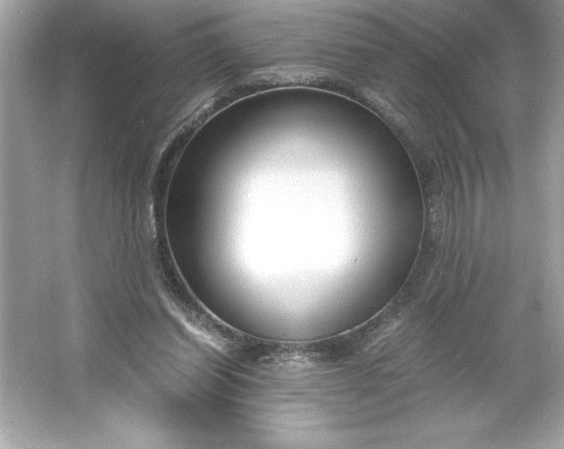 X0000066020254200603171539