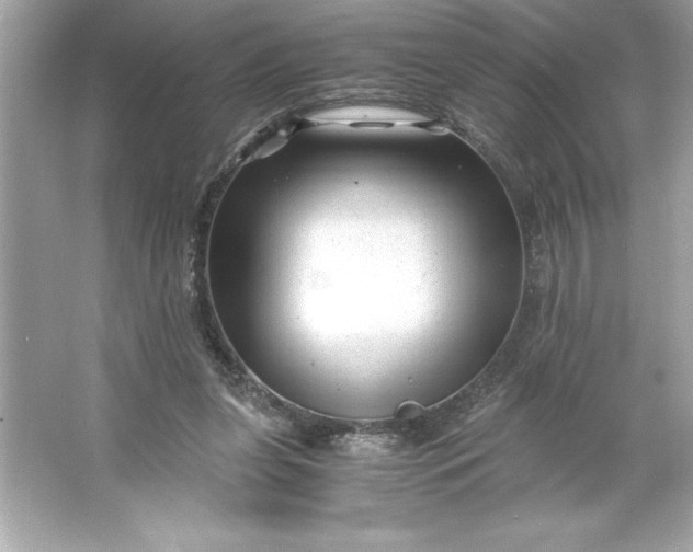 X0000066020255200603171539