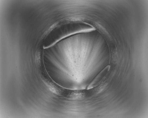 X0000066020260200603171539