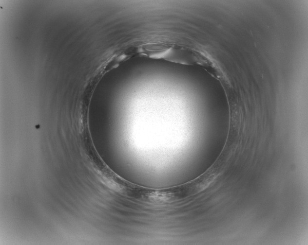 X0000066020261200603171539