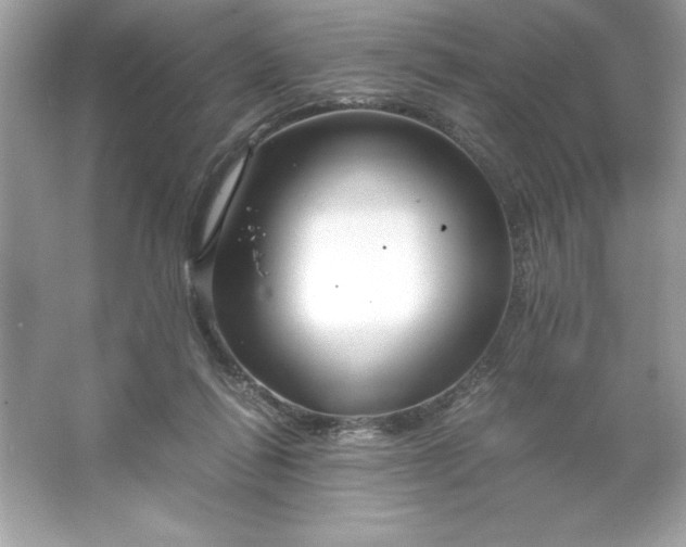 X0000066020262200603171539