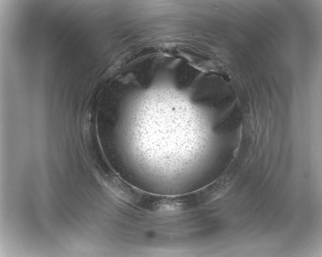 X0000066020263200603171539