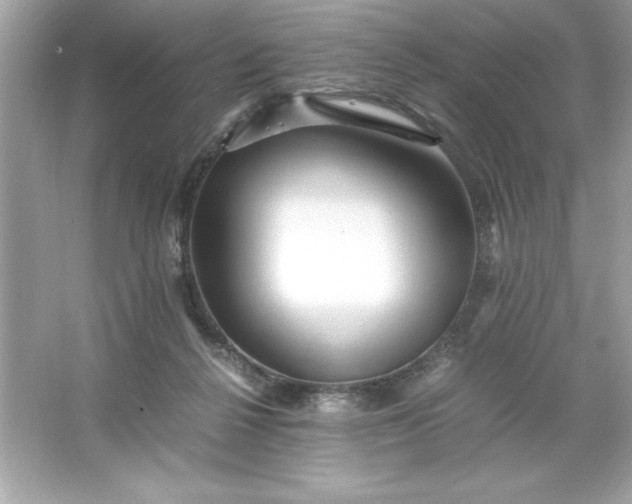 X0000066020264200603171539