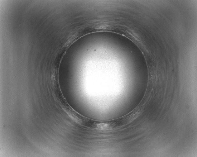 X0000066020265200603171539