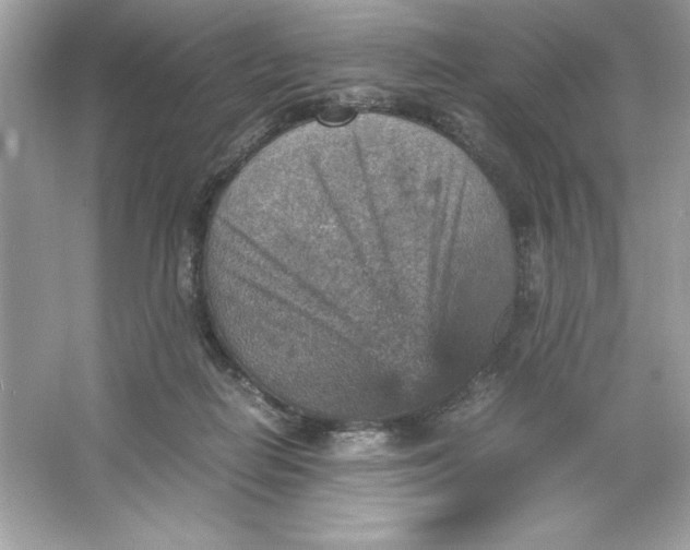 X0000066020266200603171539