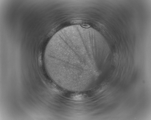 X0000066020267200603171539