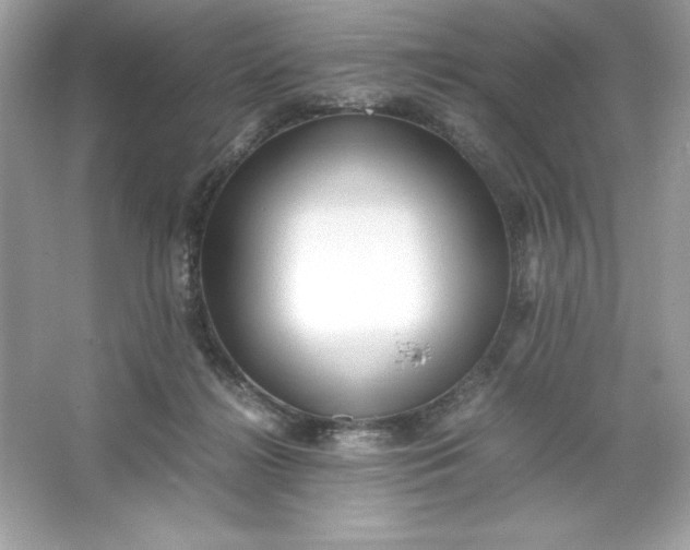 X0000066020268200603171539