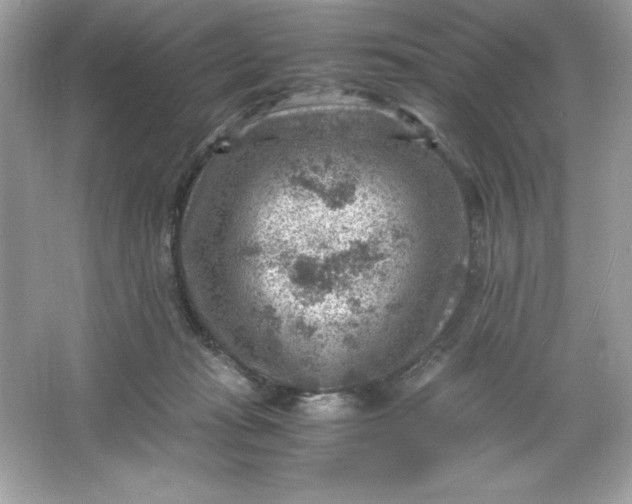 X0000066020269200603171539