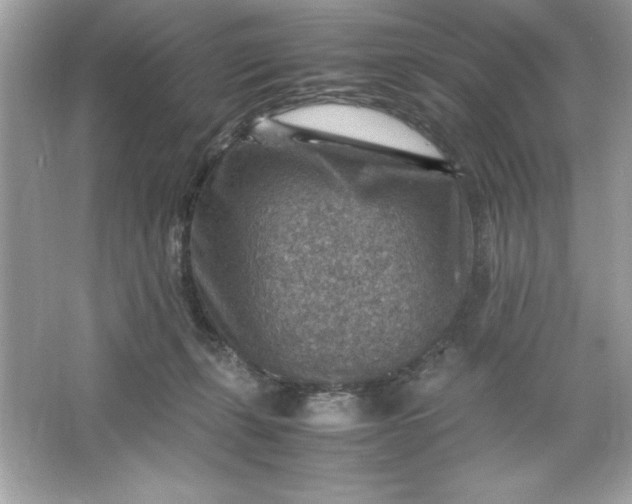 X0000066020271200603171539