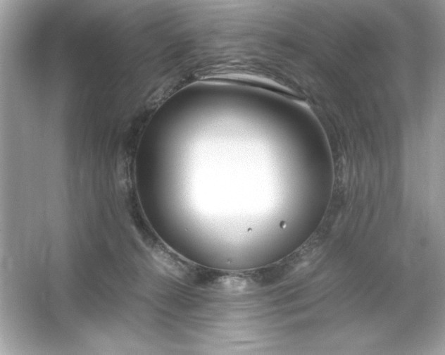 X0000066020272200603171539