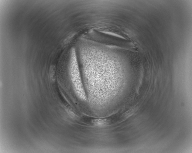 X0000066020273200603171539