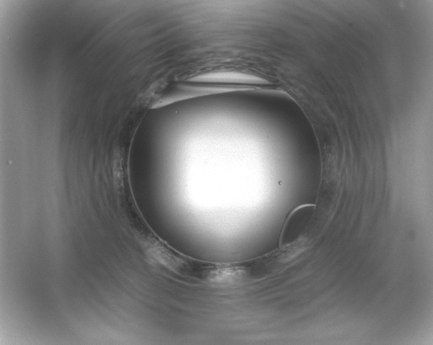 X0000066020274200603171539