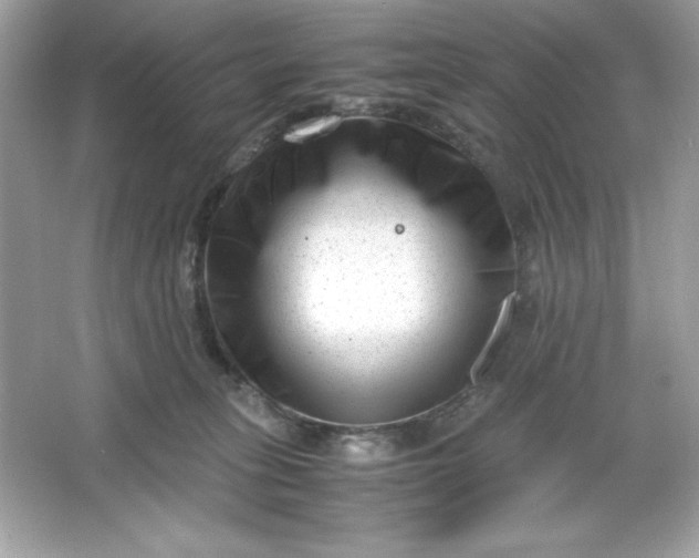 X0000066020275200603171539