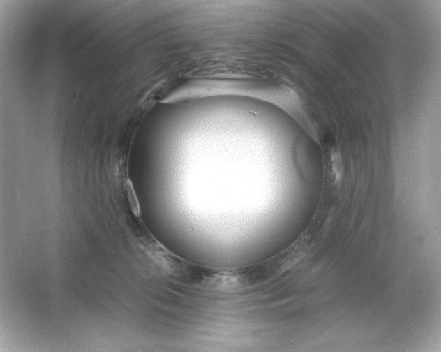 X0000066020276200603171539