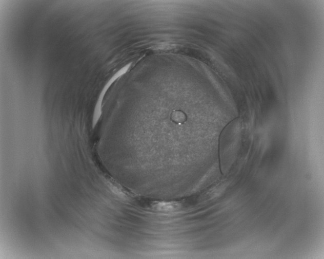 X0000066020277200603171539